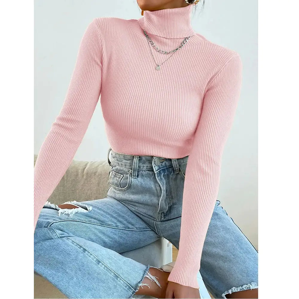 Women's Turtleneck Long Sleeve Knit Sweater