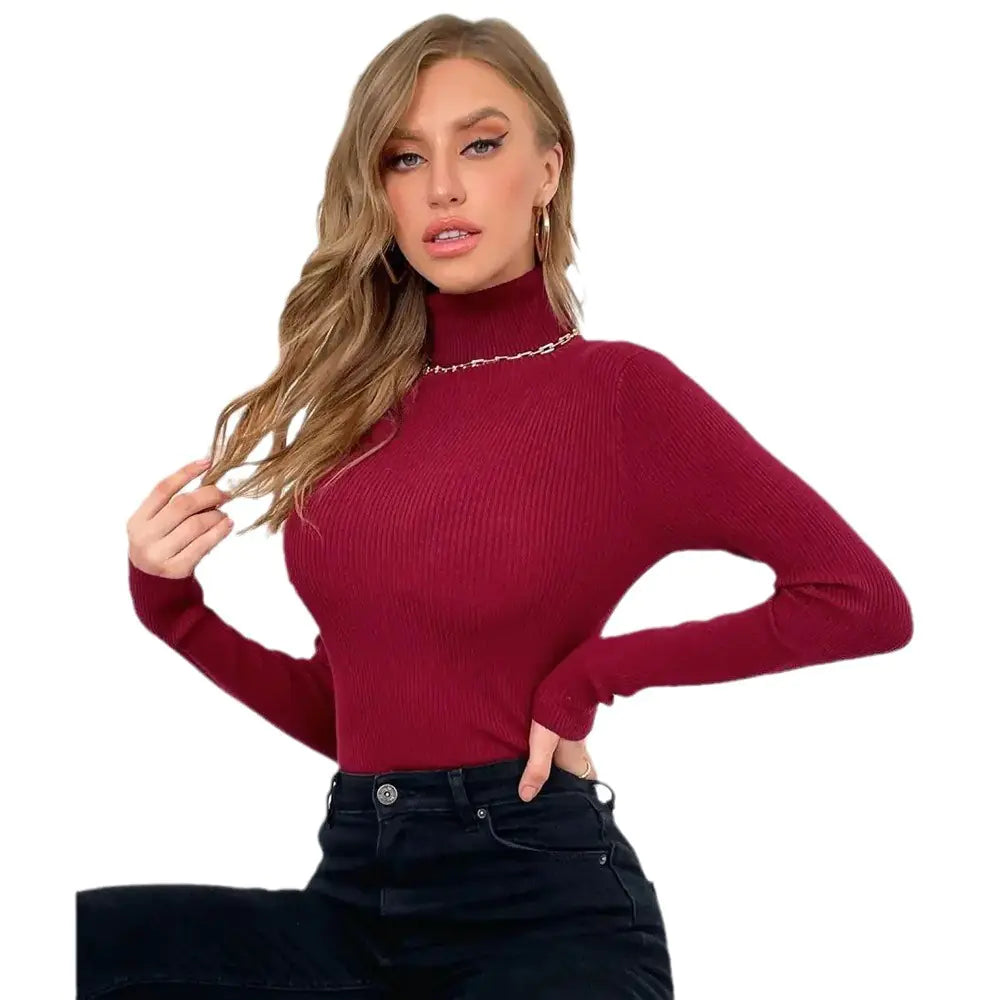 Women's Turtleneck Long Sleeve Knit Sweater