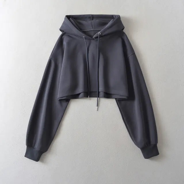 Drawstring Hooded Pullover Sweater