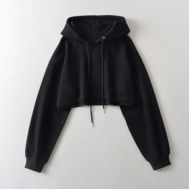 Drawstring Hooded Pullover Sweater