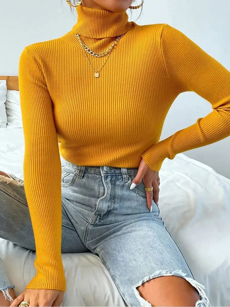 Women's Turtleneck Long Sleeve Knit Sweater