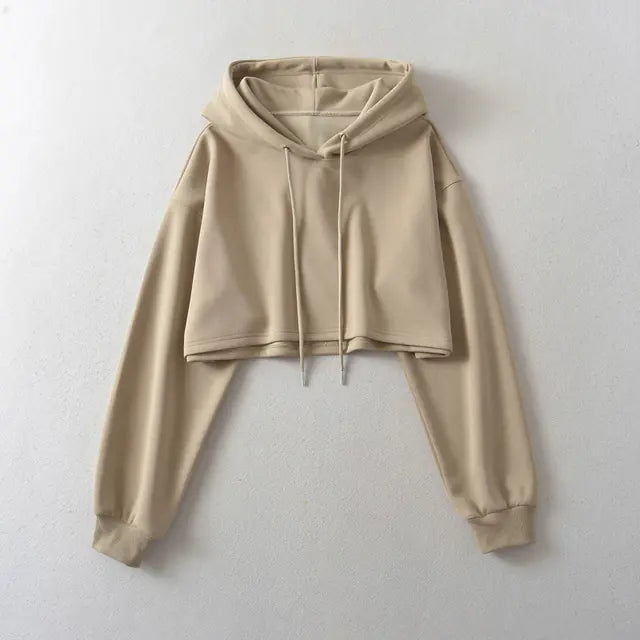Drawstring Hooded Pullover Sweater