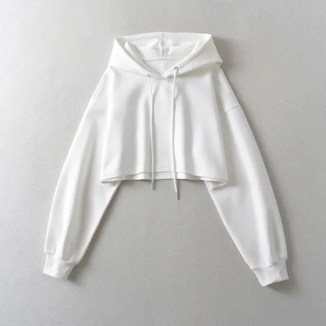 Drawstring Hooded Pullover Sweater