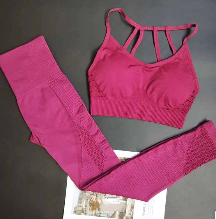 Seamless High-Waist Yoga Pants & Sports Bra Set