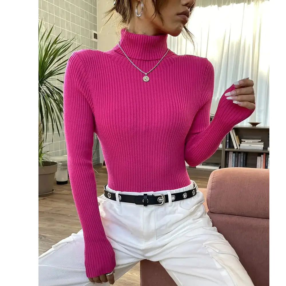Women's Turtleneck Long Sleeve Knit Sweater