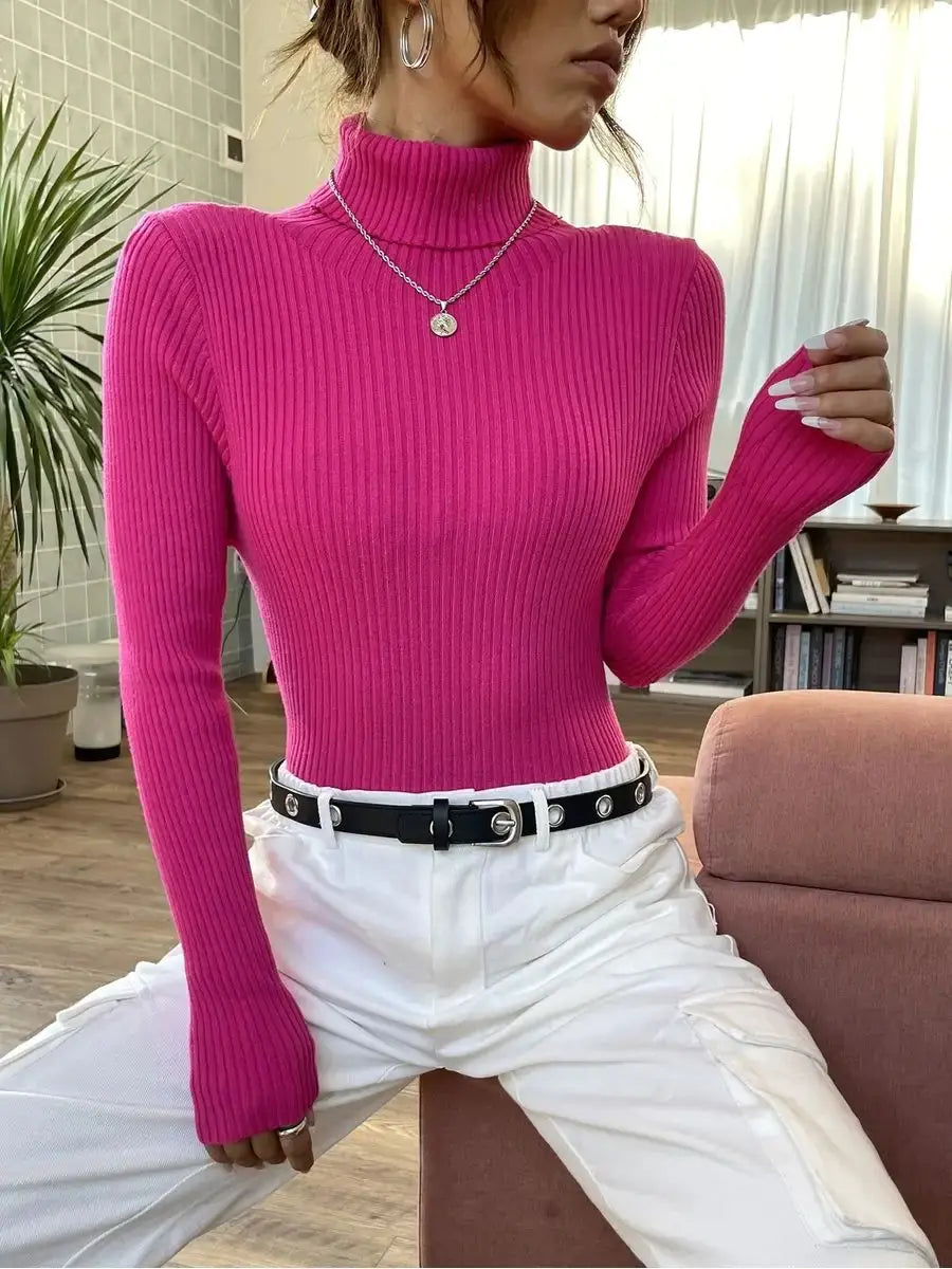 Women's Turtleneck Long Sleeve Knit Sweater